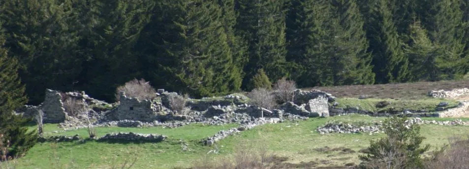 Vue générale