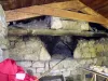 Intérieur de l'auvent du four en 2010.